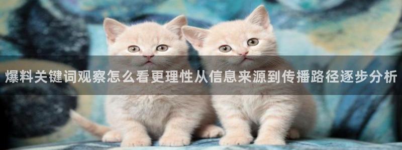 吃瓜网络热点
