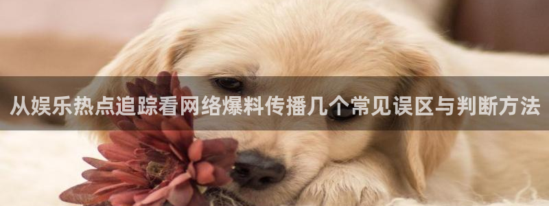 91吃瓜热门热搜