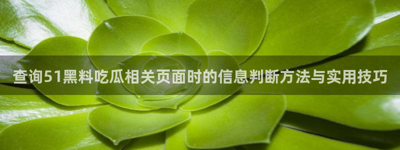 91吃瓜网络事件:查询51黑料吃瓜相关页面时的信息判断方法与实用技巧