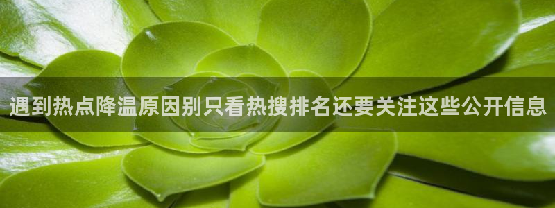 吃瓜每日资讯