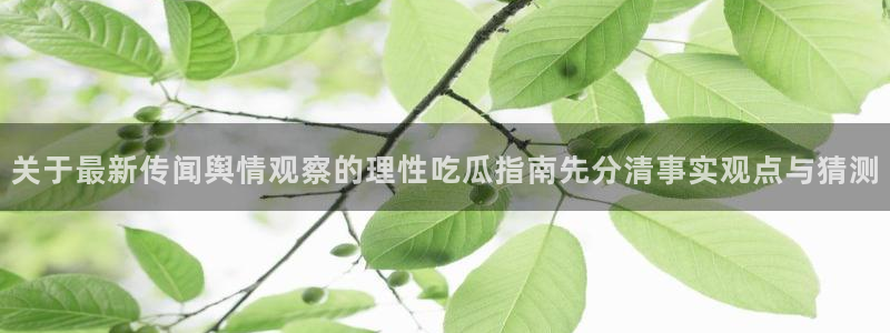 吃瓜网络热点:关于最新传闻舆情观察的理性吃瓜指南先分清事实观点与猜测