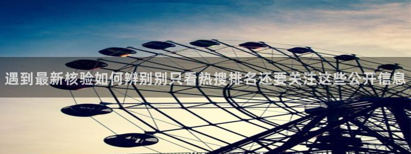 91吃瓜最新网站入口:遇到最新核验如何辨别别只看热搜排名还要关注这些公开信息